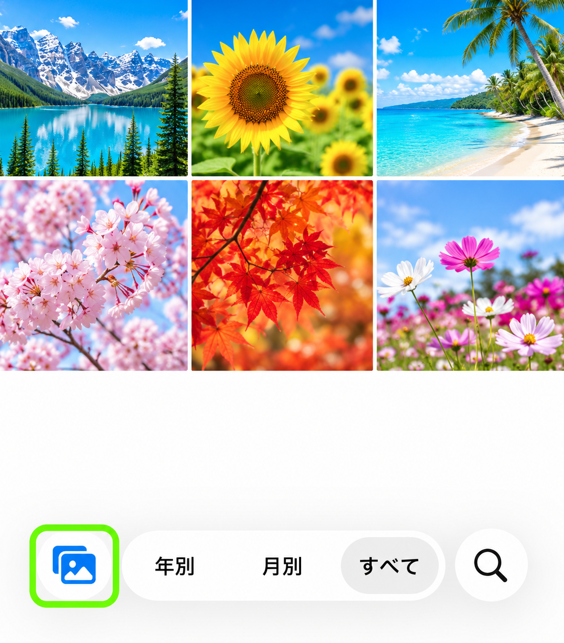 写真アプリ