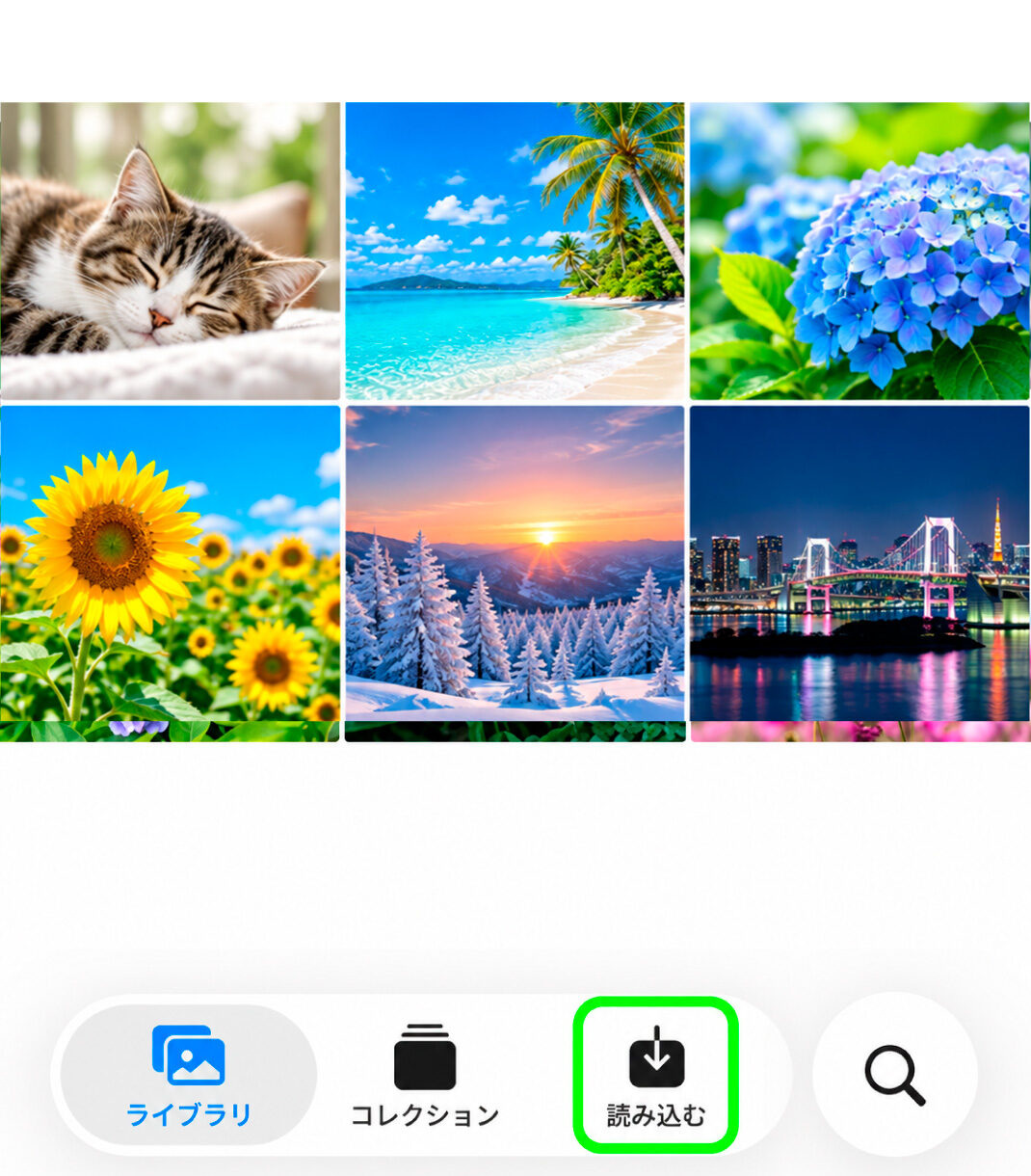 写真アプリ