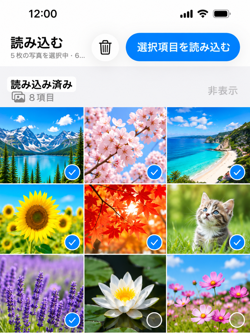 写真アプリ